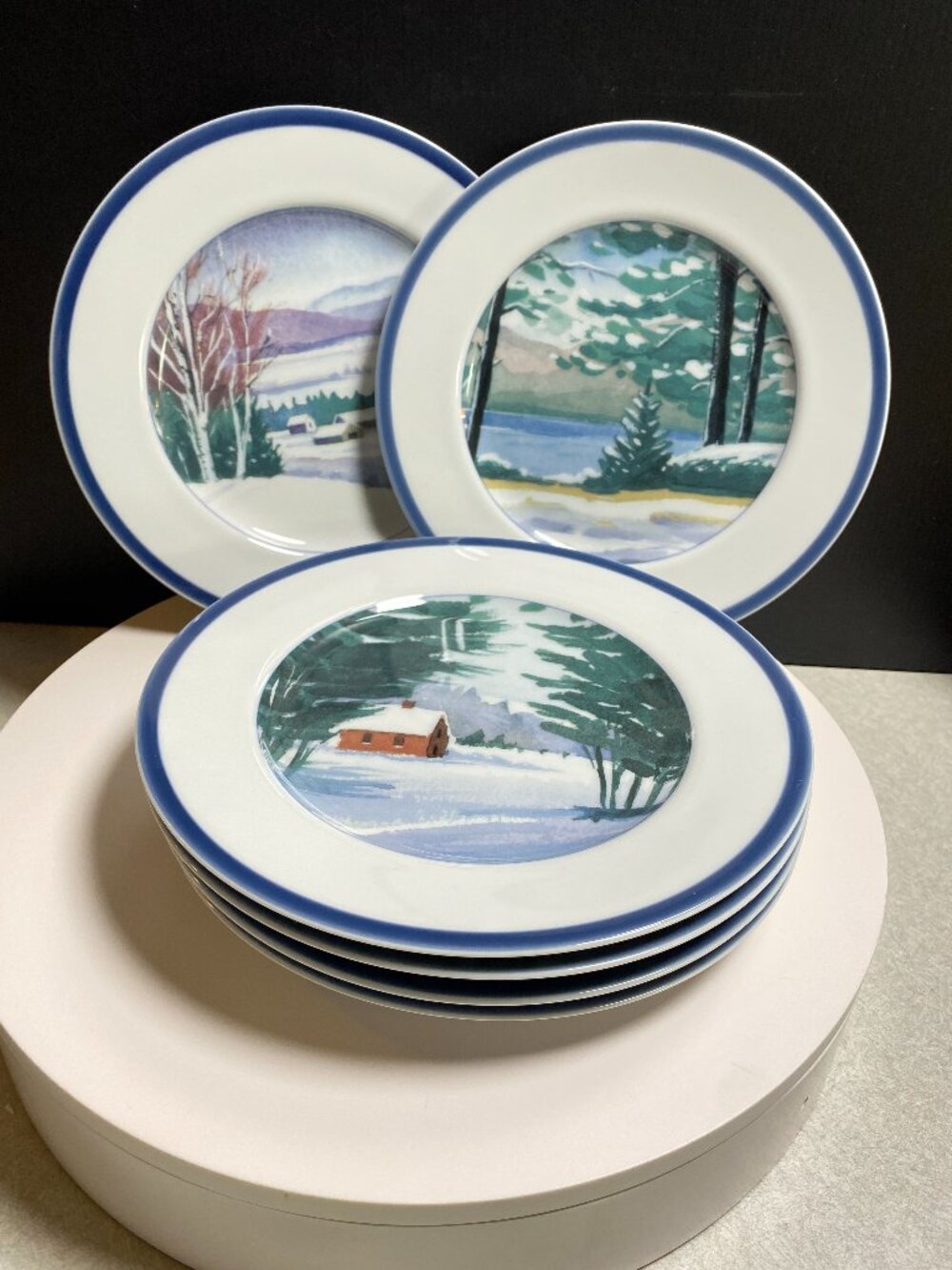 Williams-Sonoma New England Scenes Salad Plates Set of 6 Discontinued